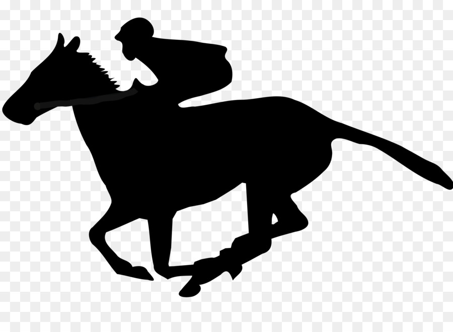 Horse Cartoon clipart.