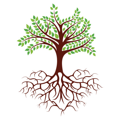 Roots Of A Tree Clipart.