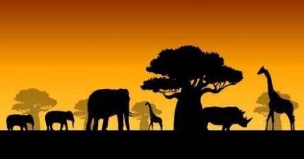 African Savannah Clipart.