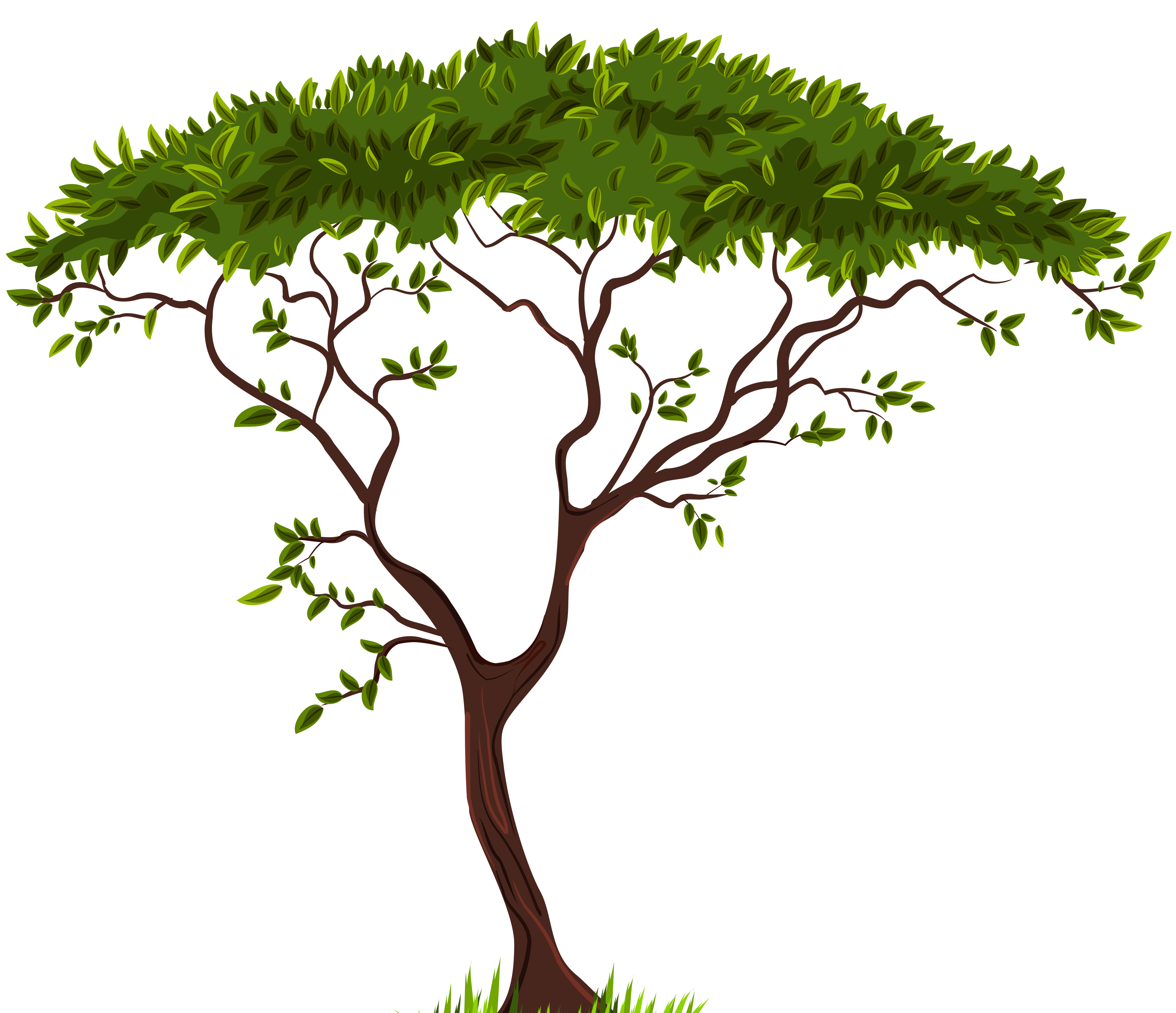 African Trees Clipart.