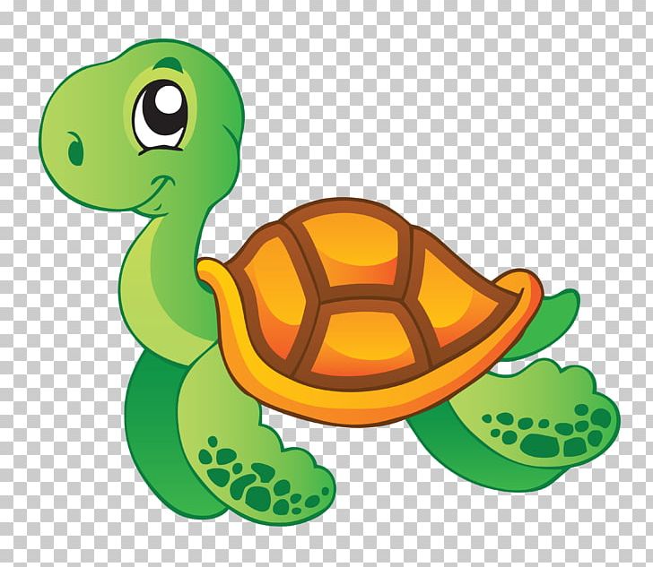 Sea Turtle Aquatic Animal PNG, Clipart, Animal, Animals.