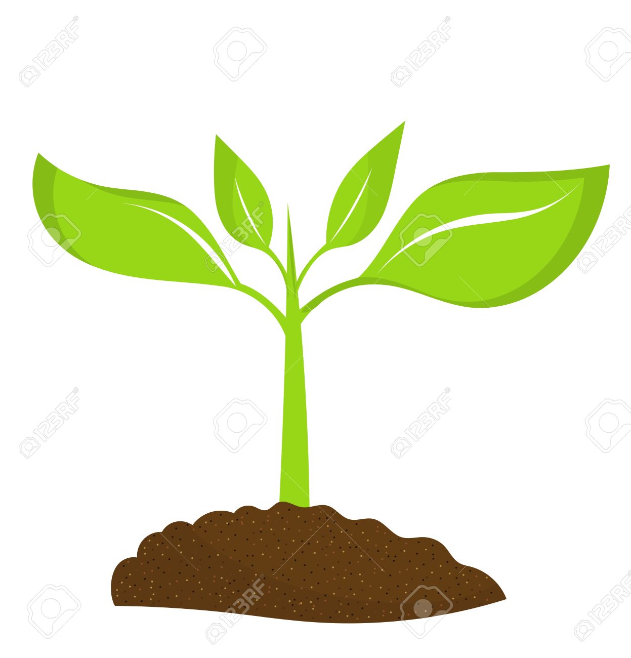 108 Seedling free clipart.