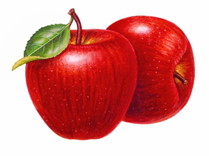 Free Clipart Pictures Of Apples.