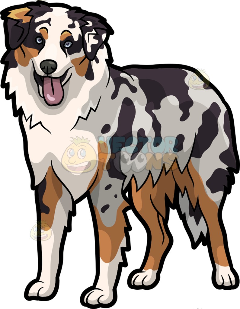 Australian Shepherd Cartoon Clipart.