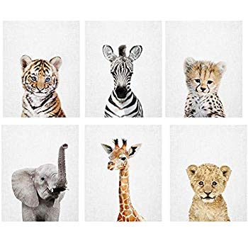 Baby Safari Animal Prints 8x10 (tx).