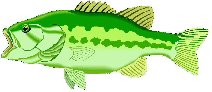 Jumping Bass Fish Clip Art.