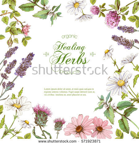 Herbal Stock Photos, Royalty.