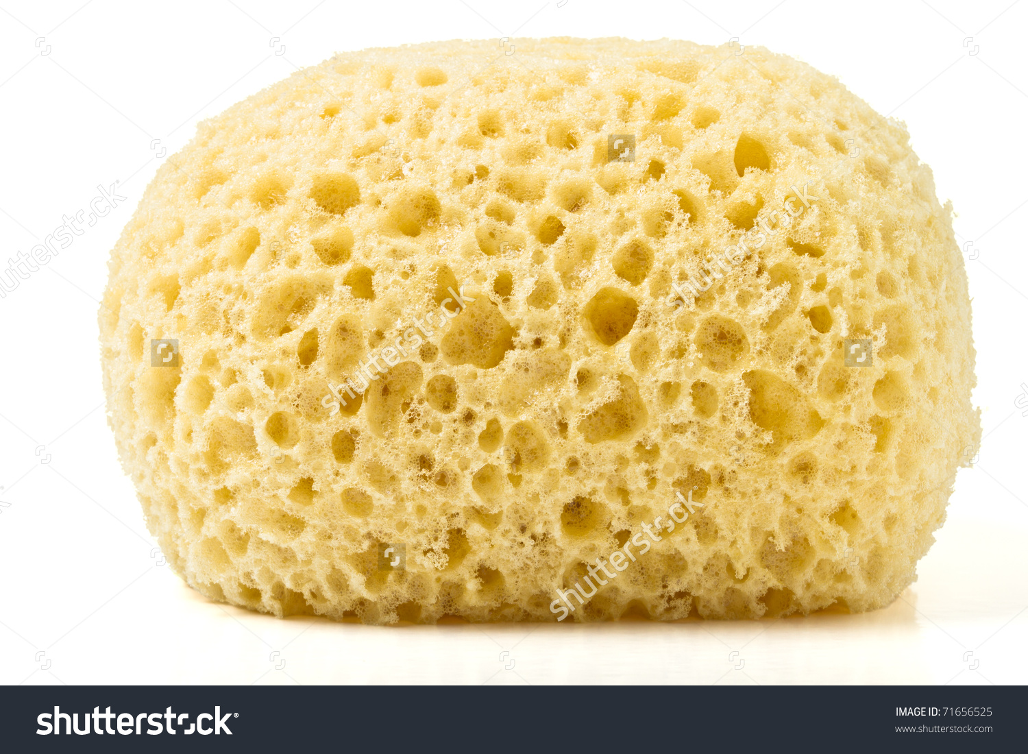 Synthetic Bath Sponge Low Perspective Isolated Stock Photo.