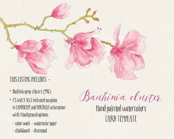 Clipart fleurs aquarelle : coin et vaporisateurs droites ; nuances.