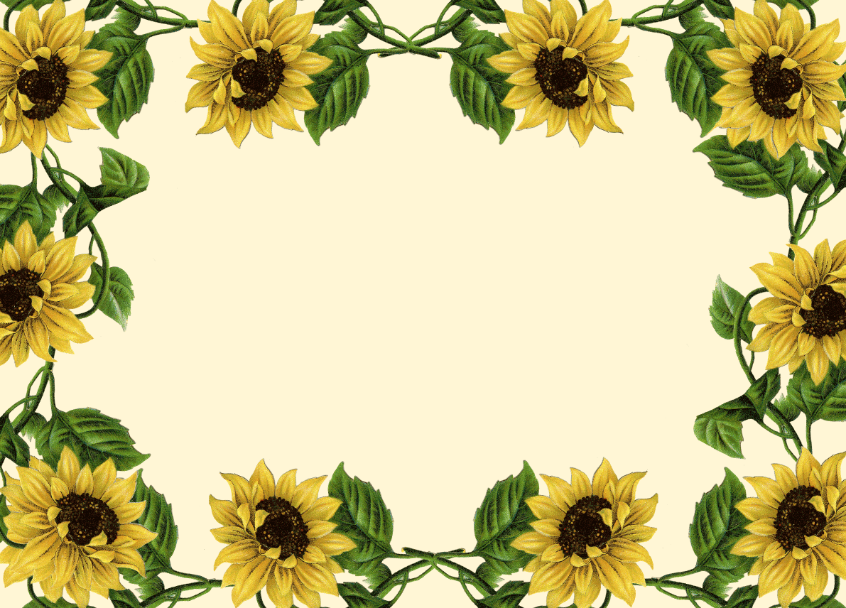 Sunflower Border Clip Art.