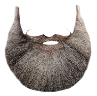 Download BEARD Free PNG transparent image and clipart.