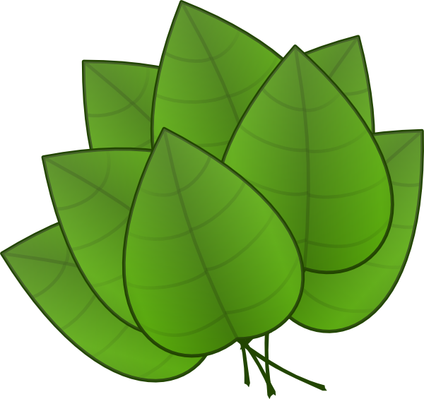 Big leaf clipart.