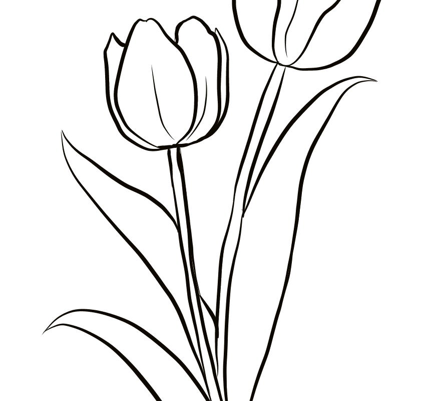 Black And White Flower clipart.