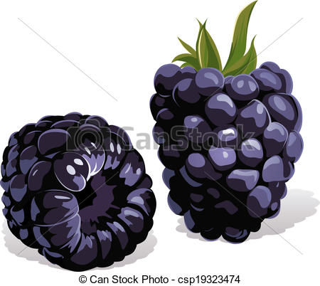 Blackberry Illustrations and Stock Art. 3,309 Blackberry.