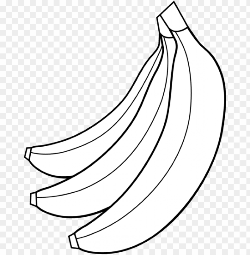 fruit clipart banana bunch.