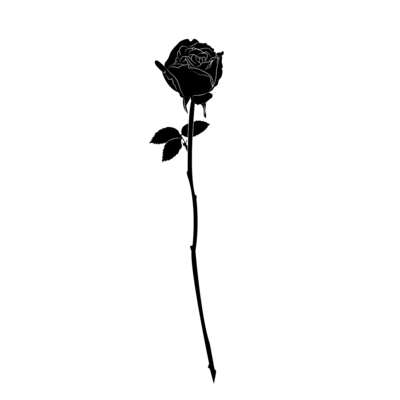 Black Rose Png (74+ images in Collection) Page 1.