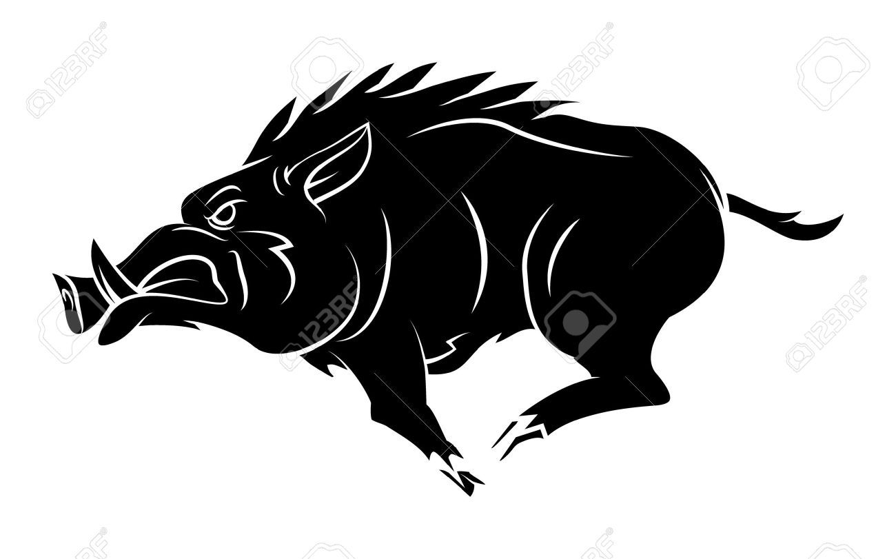 Boar clipart black and white 7 » Clipart Portal.