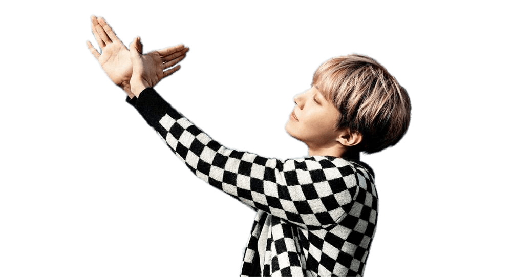 BTS J Hope Bird transparent PNG.