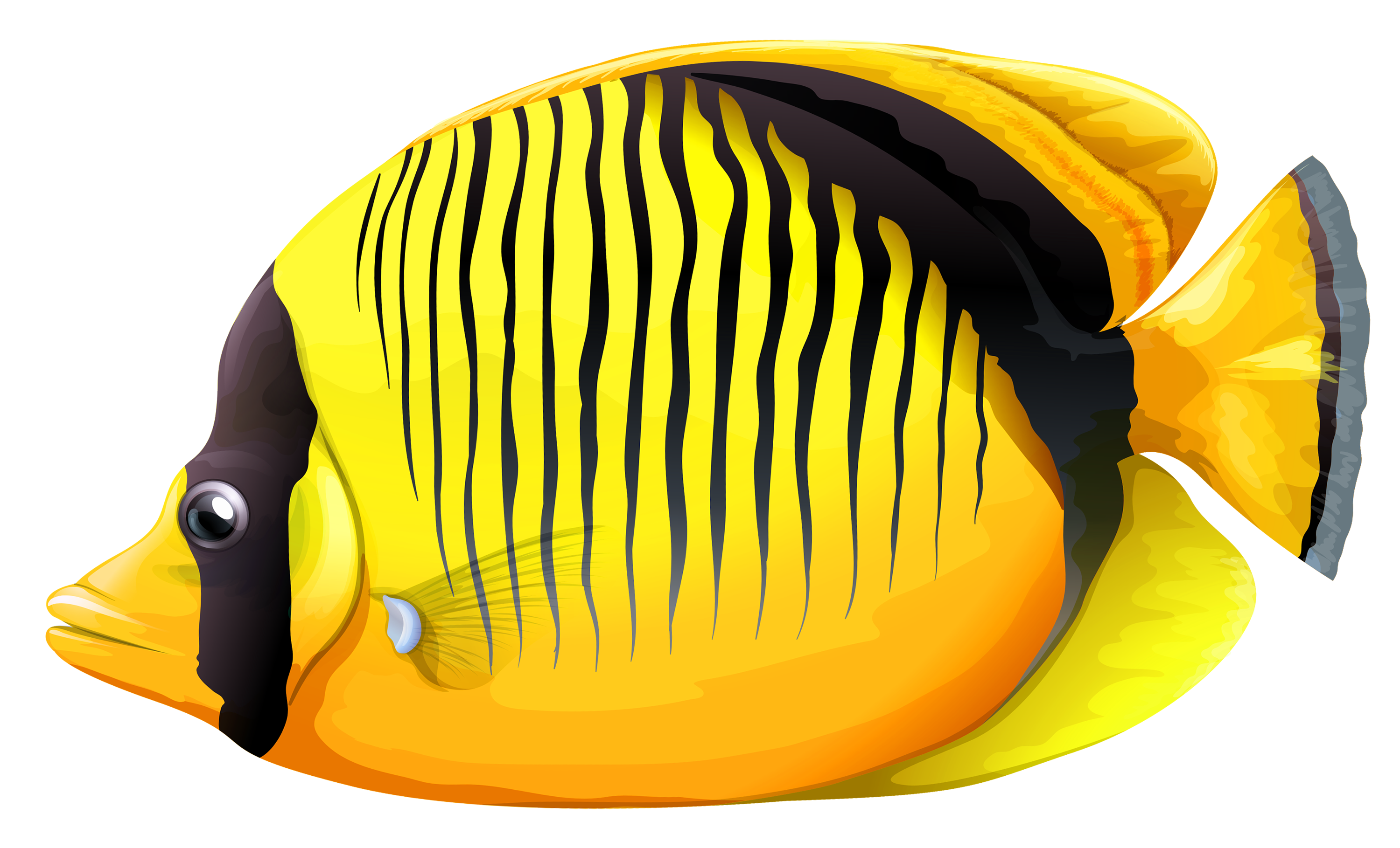 Yellow Butterfly Fish PNG Clipart.