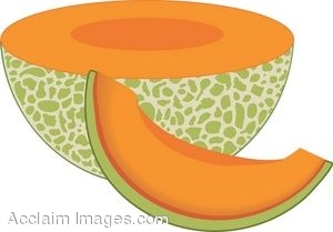 Cantaloupe clipart free.