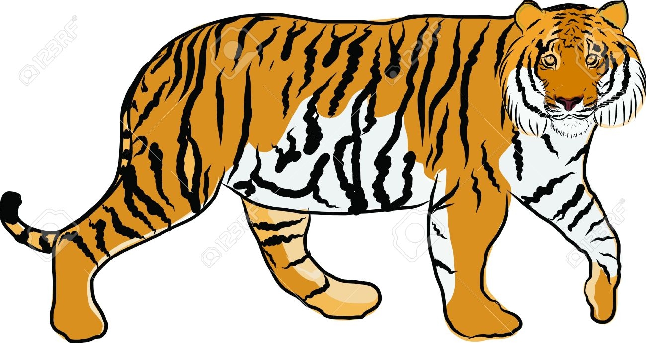 Carnivore Animals Clipart.