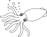 Cephalopod clipart.