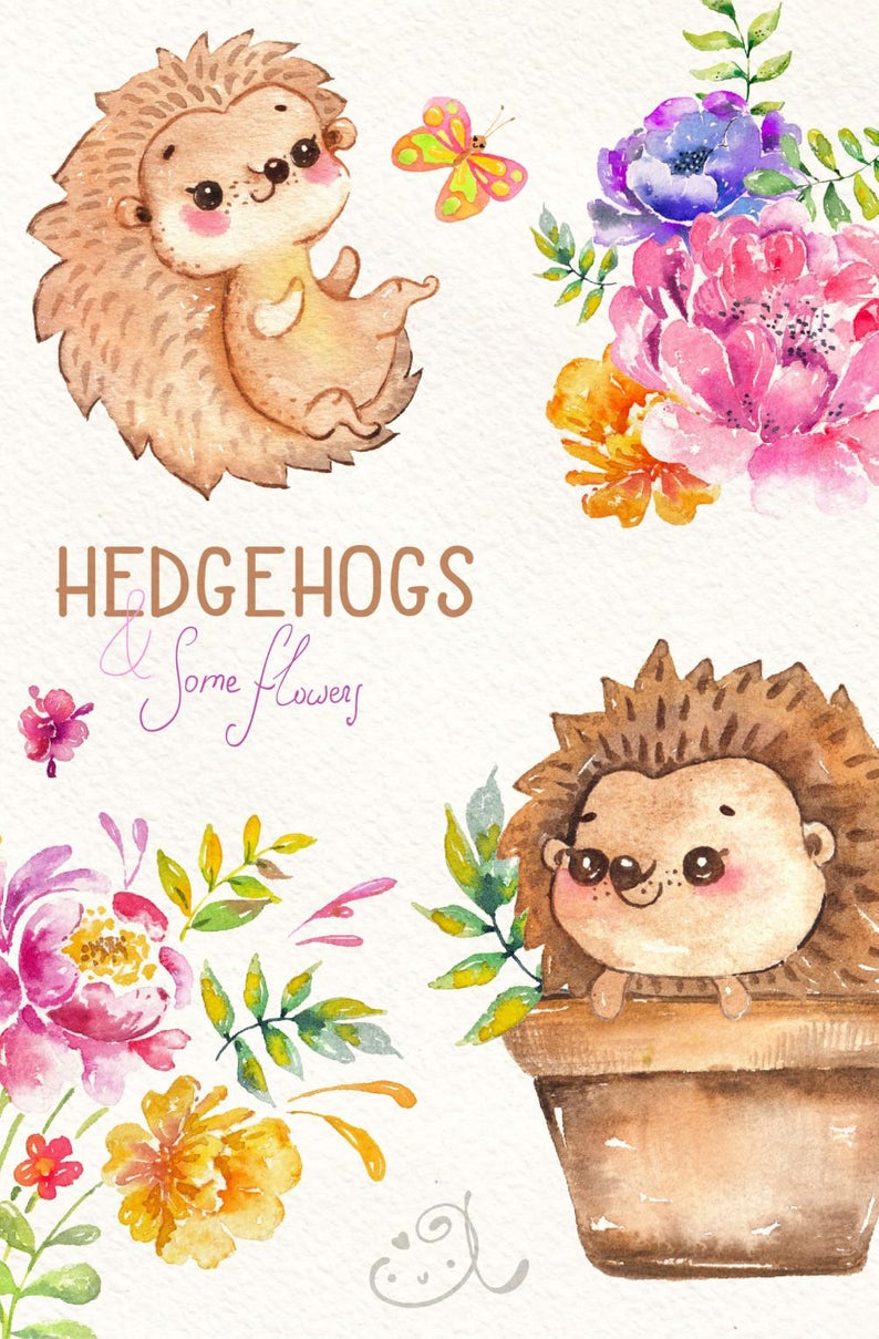 Hedgehogs Babies Watercolor little animal clipart flowers Clipart  Watercolor Woodland Animal child kid decoration babyshower DIY scrapbookig.