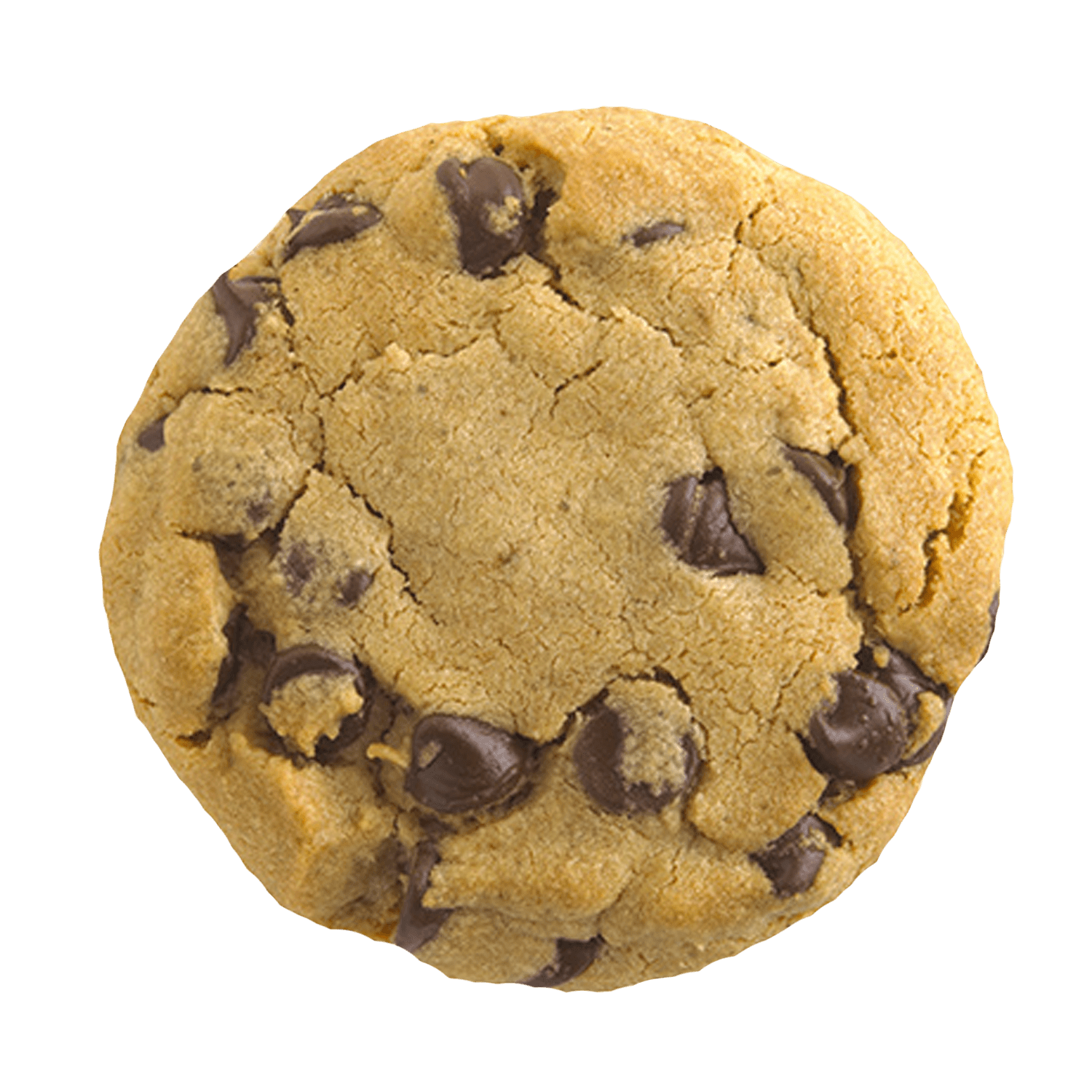 Cookie Clicker Chocolate chip cookie Clip art.