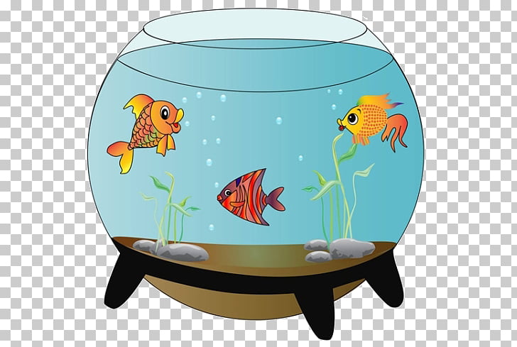 Carassius auratus Siamese fighting fish Aquarium , Cartoon.