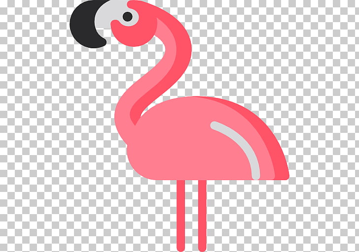 Flamingos Computer Icons Bird Photography, flamingo PNG.