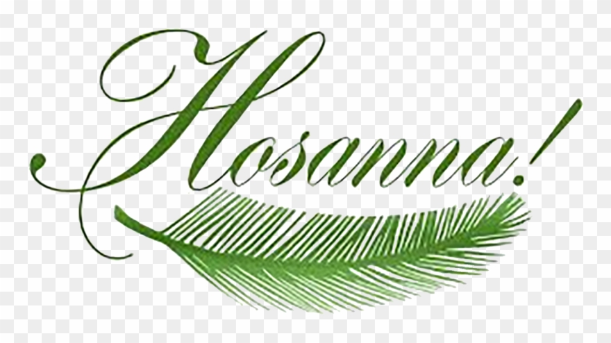 Pretty Design Clipart Palm Sunday By Sister Rose Ann.