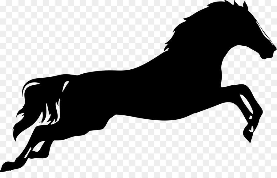 Horse Cartoon clipart.