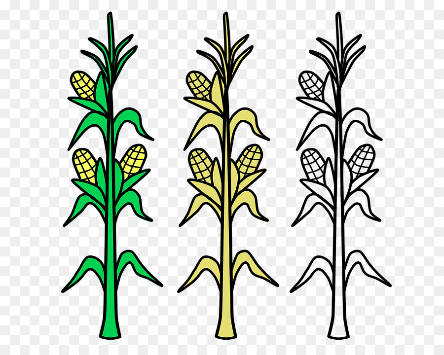 Free Cornstalk Silhouette, Download Free Clip Art, Free Clip.