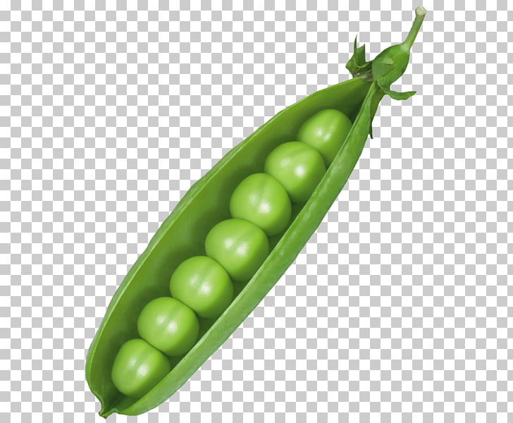 Snow pea Vegetable Pod , Green peas PNG clipart.