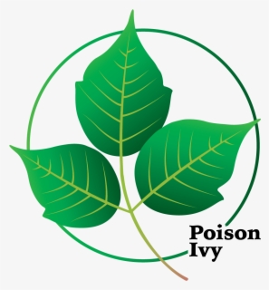 Free Poison Ivy Clip Art with No Background.