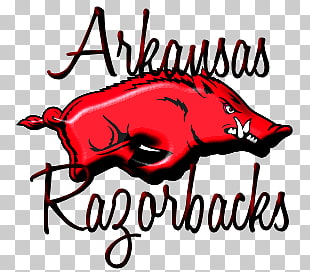 4 arkansas Razorback Clipart PNG cliparts for free download.