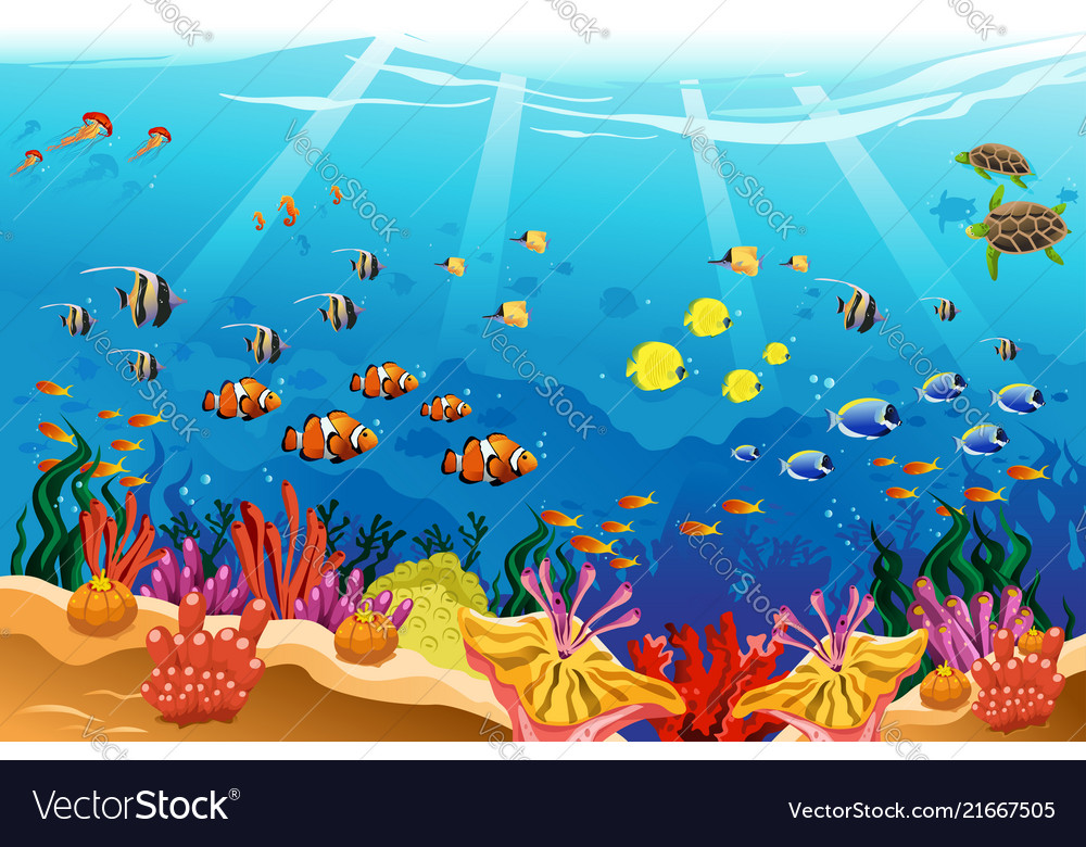 Marine underwater scene.