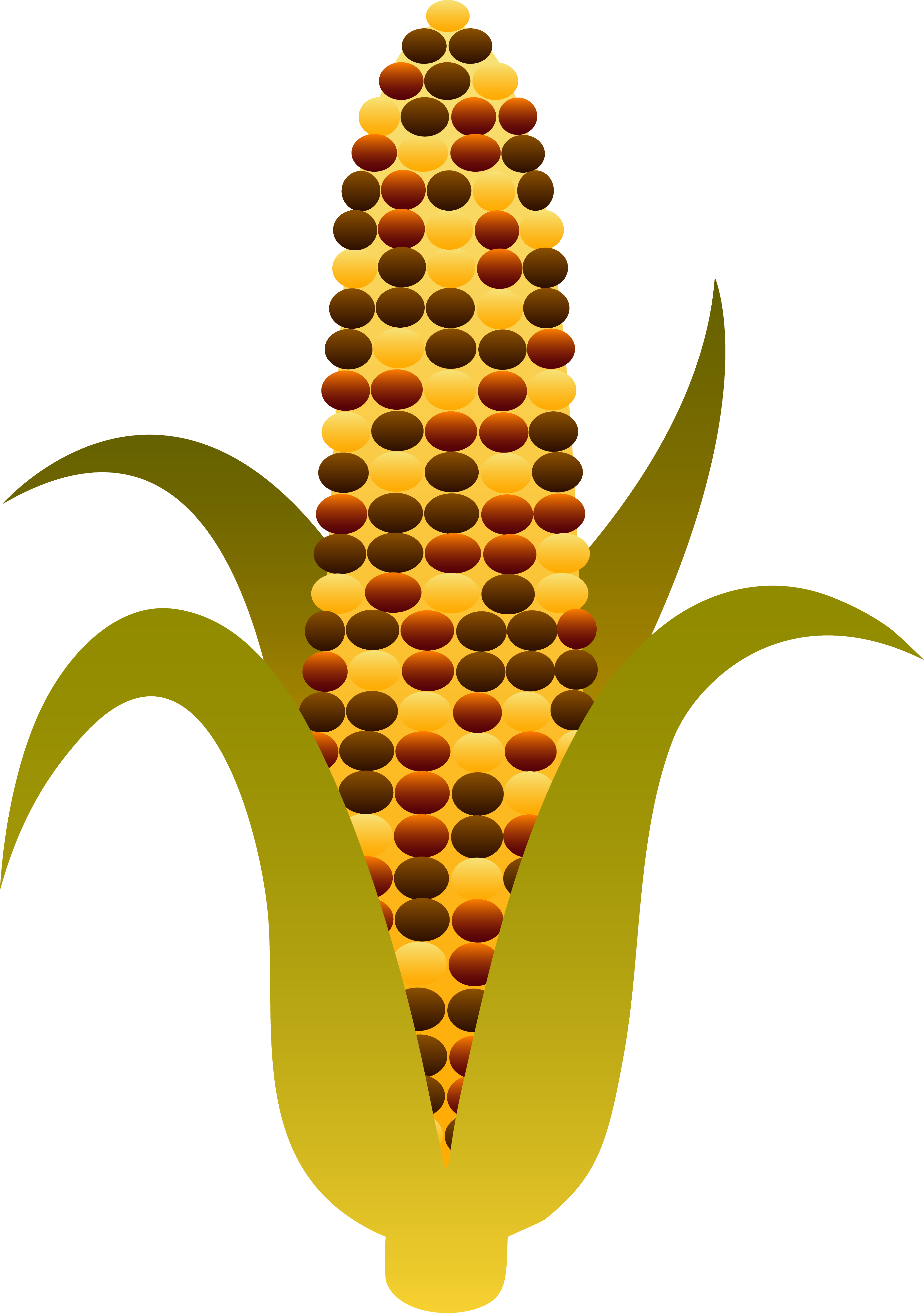 Ear Of Corn Clipart.