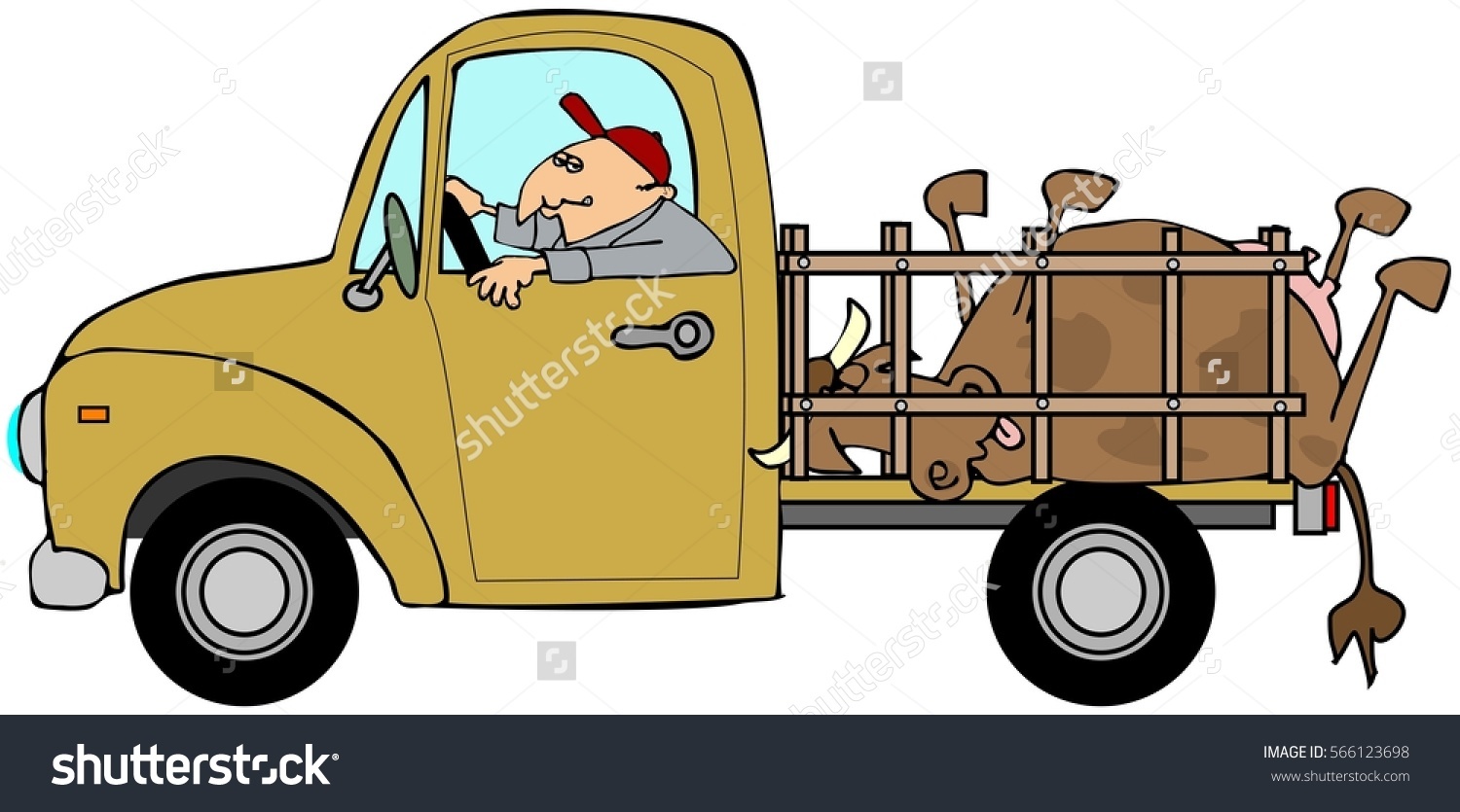 Illustration Man Driving Truck Dead Cow Stock Illustration.