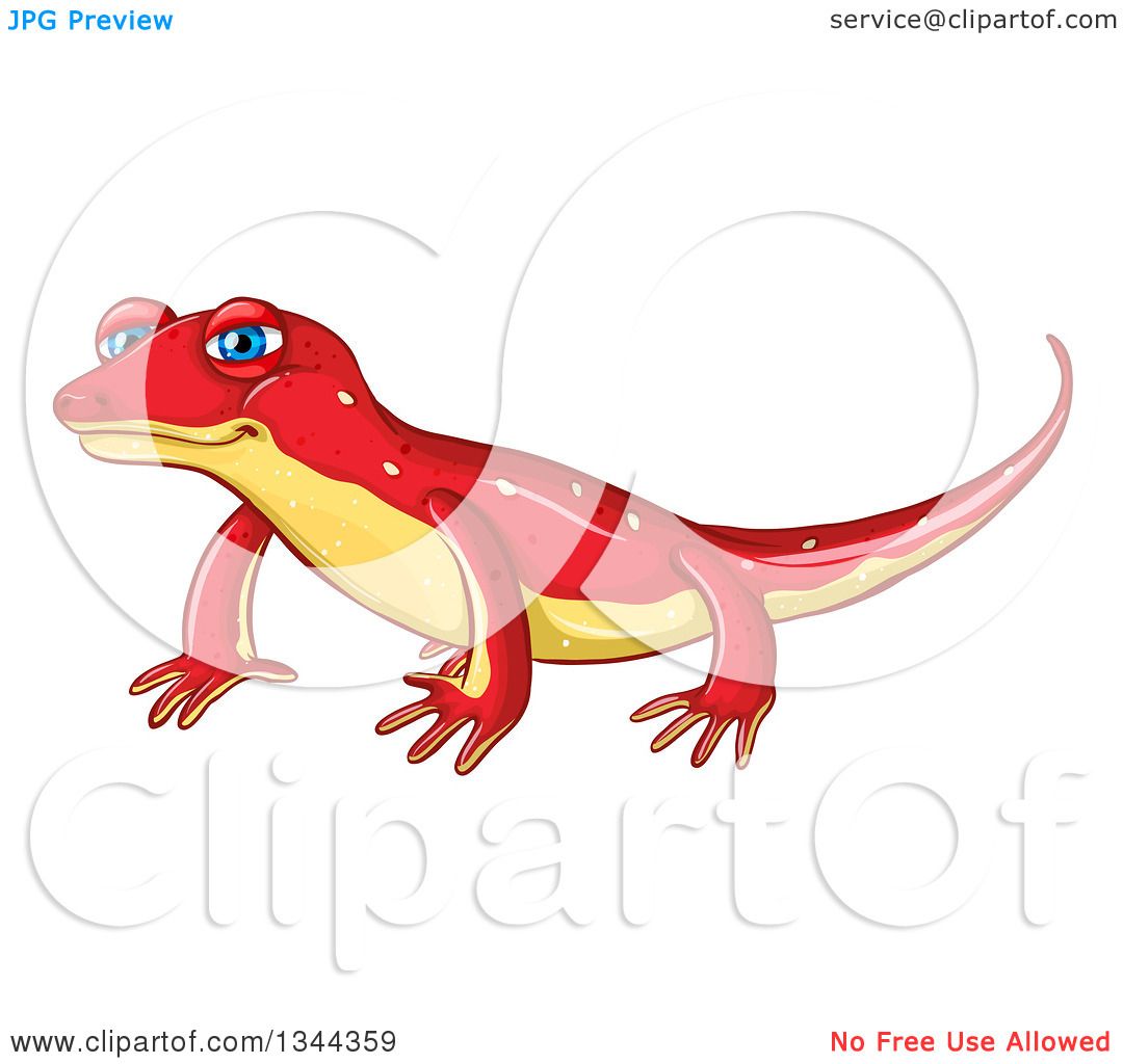 Clipart of a Cute Red and Yellow Newt.