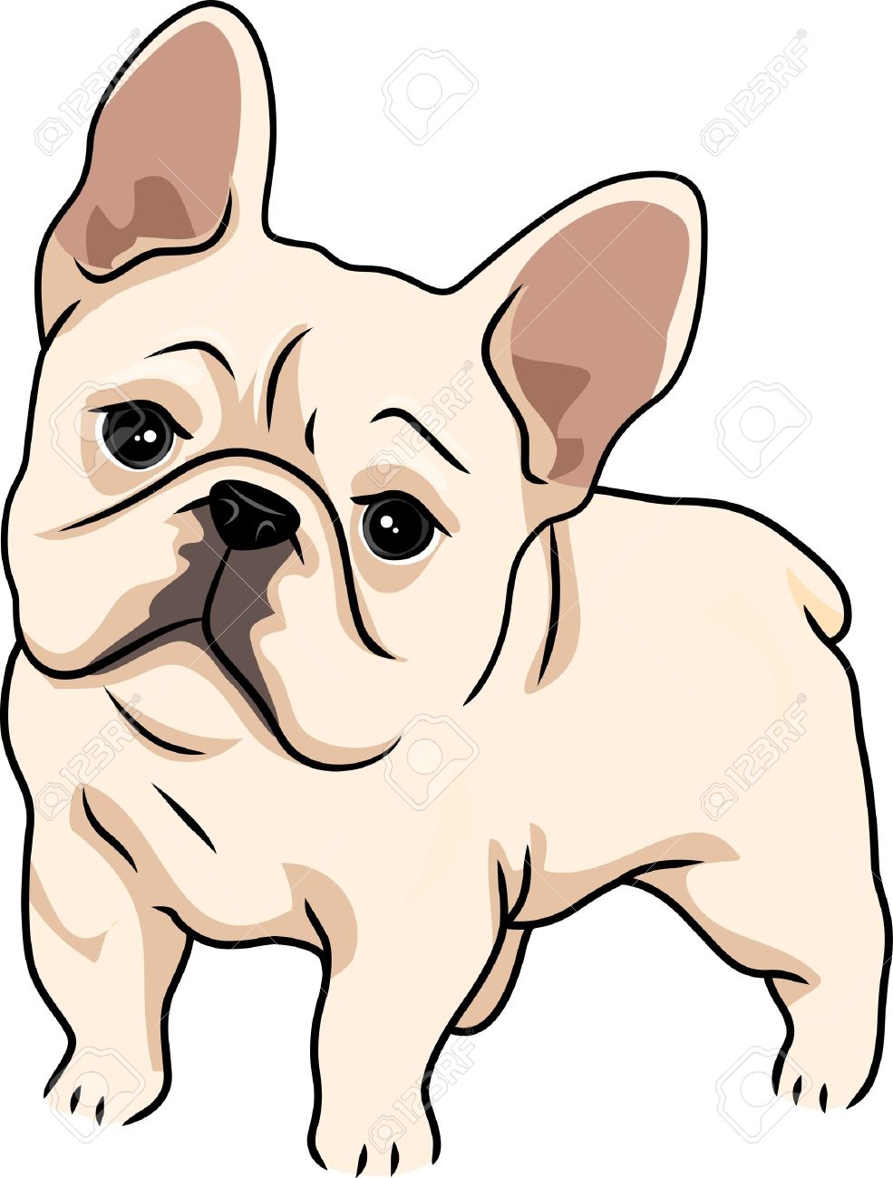 Cute bulldog clipart 6 » Clipart Station.