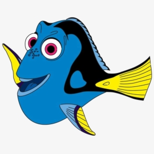 Marlin Dory,.