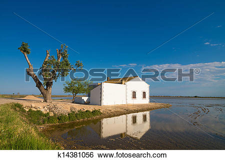 Stock Images of Delta del Ebro k14381056.