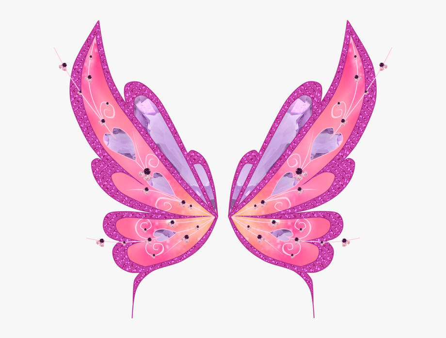 Fairy Wings Png.