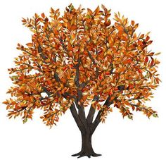 Free Fall Tree Clipartsr, Download Free Clip Art, Free Clip.