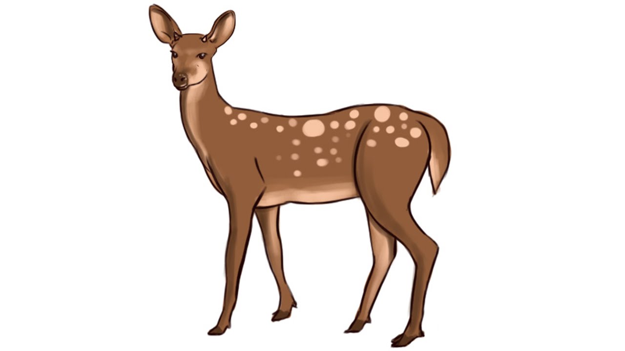 11769 Deer free clipart.