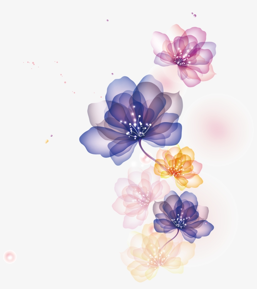 Flowers Illustration Png.