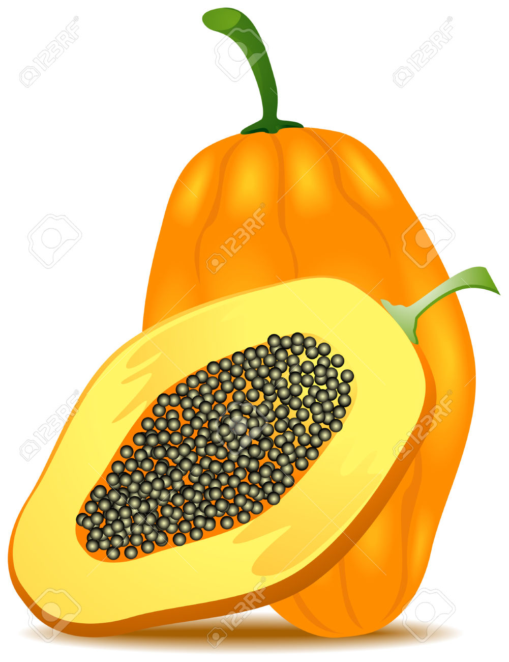 Papaya Illustration With Clipping Path Royalty Free Cliparts.