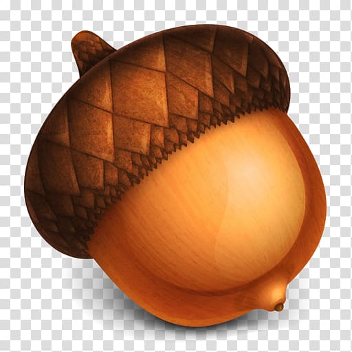 Acorn , Acorn , free, acorns transparent background PNG clipart.