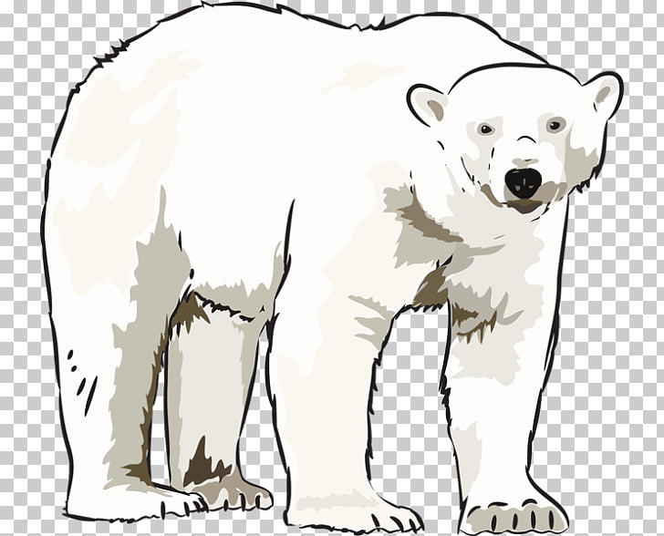 Polar bear American black bear , Winter Bear s PNG clipart.